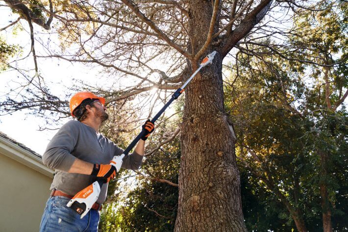 STIHL Akku-Hochentaster HTA 50 | AK-System