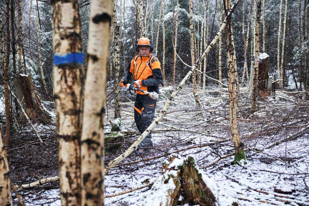 STIHL Akku-Hochentaster HTA 150 | AP-System