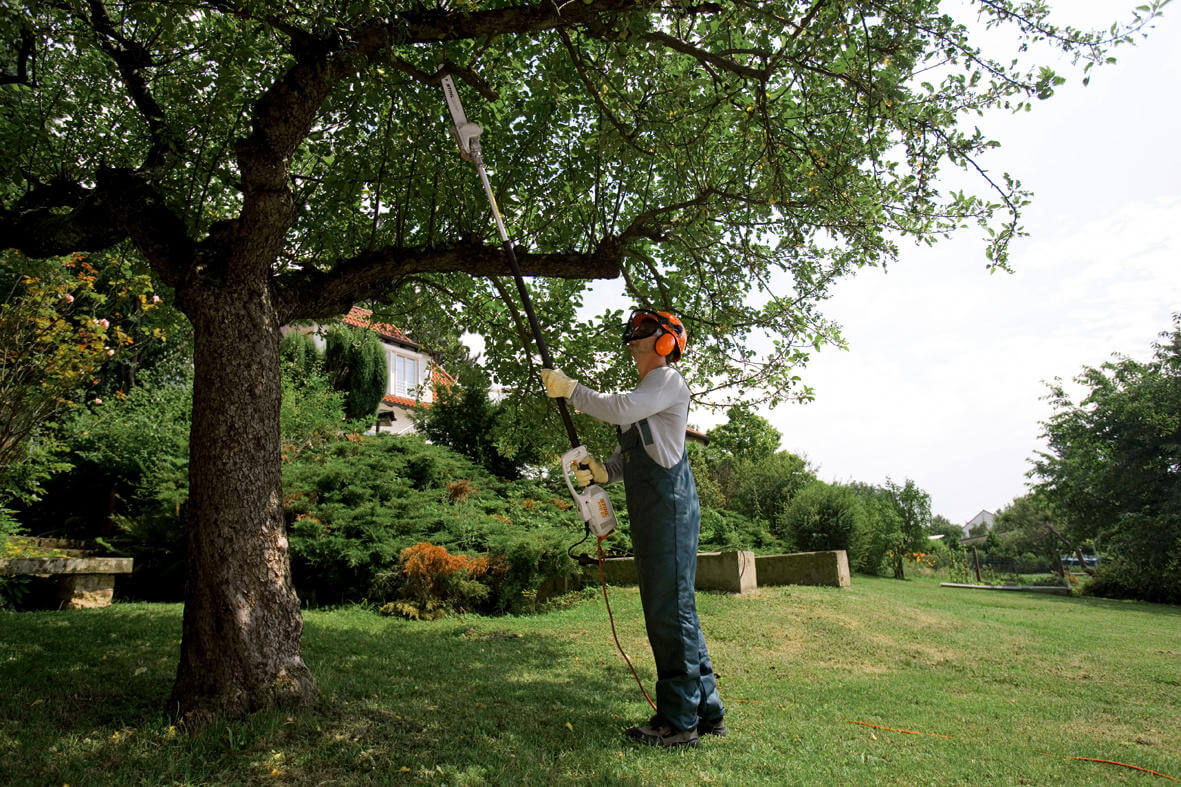 STIHL Elektro-Hochentaster HTE 60 30 cm / 71 PM3