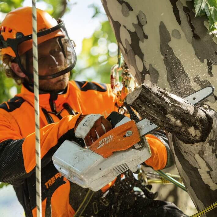 STIHL Akku-Motorsäge MSA 161 T | AP-System