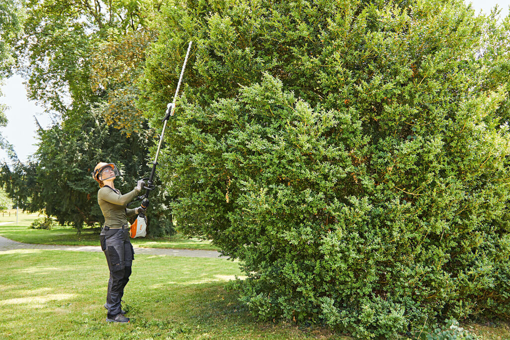 STIHL Akku-Heckenschneider HLA 135 | AP-System