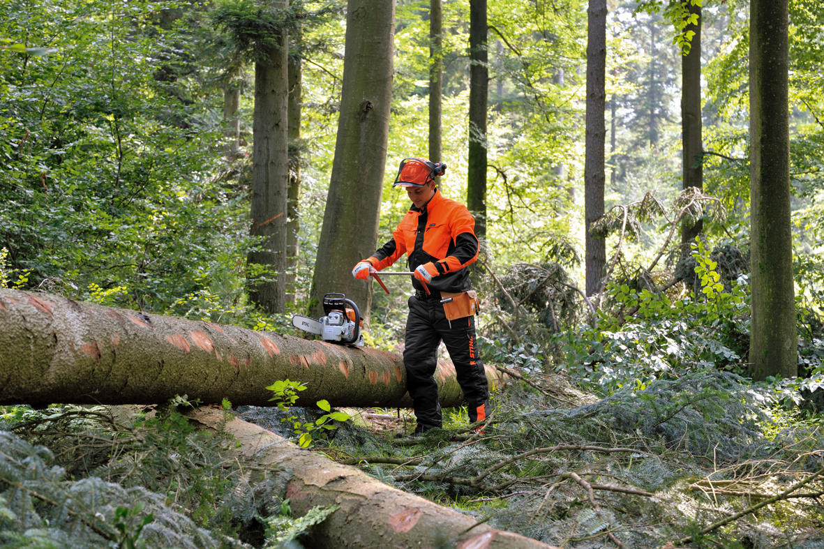 STIHL Bundhose DYNAMIC Class 1