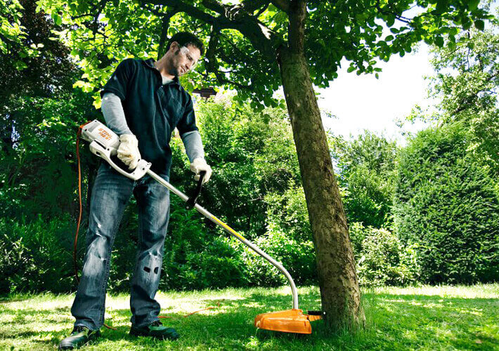 STIHL Elektro-Motorsense FSE 60 / AC C 6-2