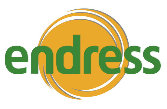 logo_www-endress-shop_trans endress logo 2021