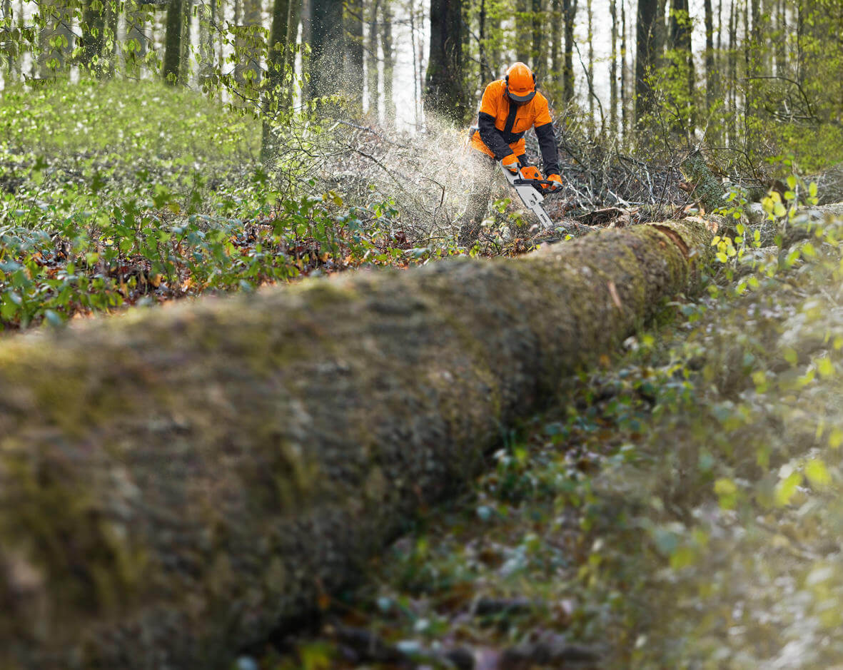 STIHL Benzin-Motorsäge MS 241 C-M VW