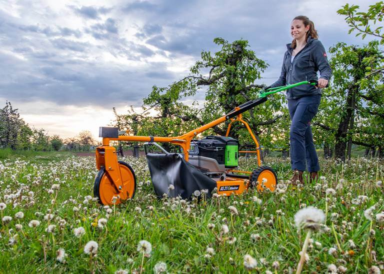 AS-MOTOR Akku-Hochgrasmäher AS 21 E Allmäher