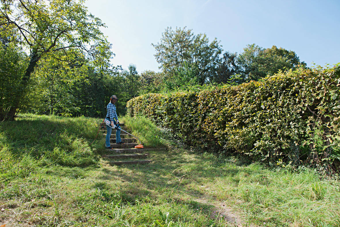 STIHL Elektro-Motorsense FSE 81 / AC C 6-2